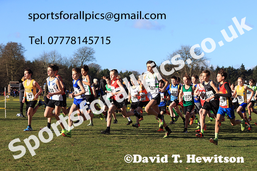 Boys under-13s 2025 Northern Cross Country Champs, Tatton Park, Knutsford, Cheshire. Photo: David T. Hewitson/Sports for All Pics